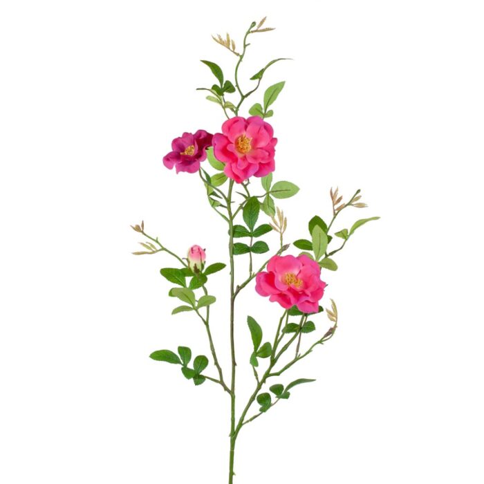 BALMORAL CLIMBING ROSE 96cm