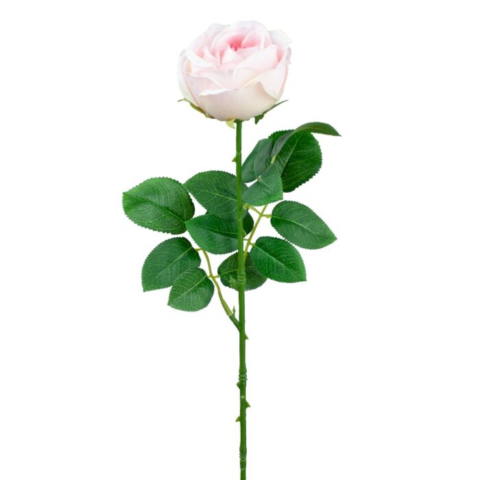 KENSINGTON ROSE SINGLE 64cm