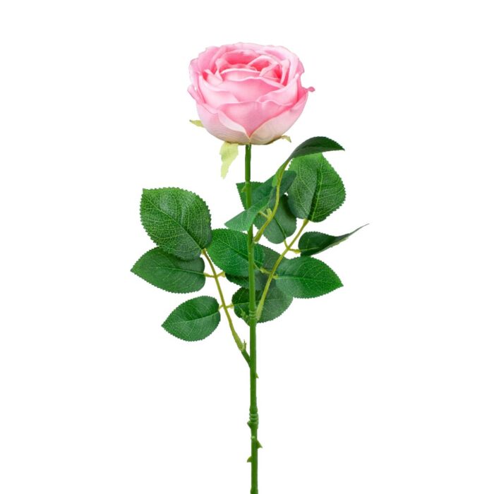 KENSINGTON ROSE SINGLE 64cm