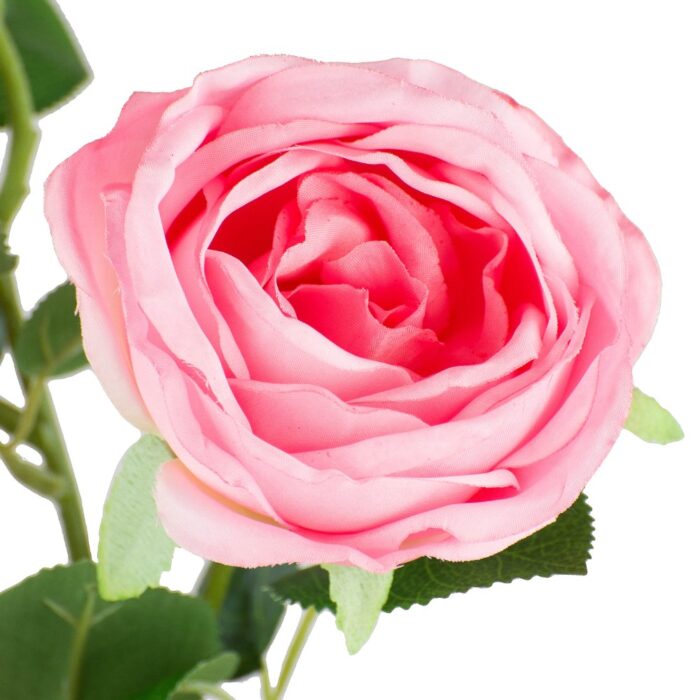 KENSINGTON ROSE SPRAY 86cm - Image 2