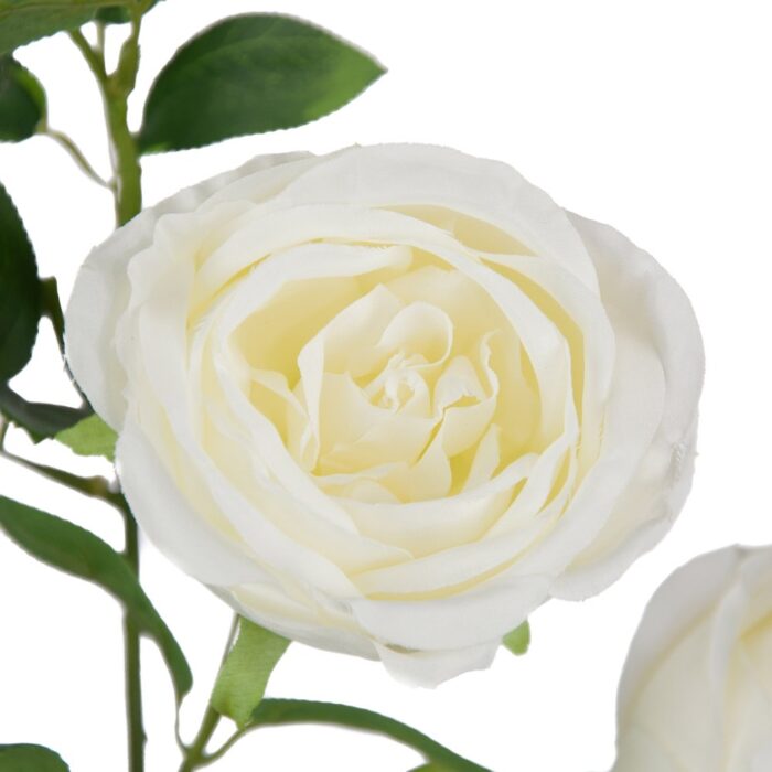 KENSINGTON ROSE SPRAY 86cm - Image 2