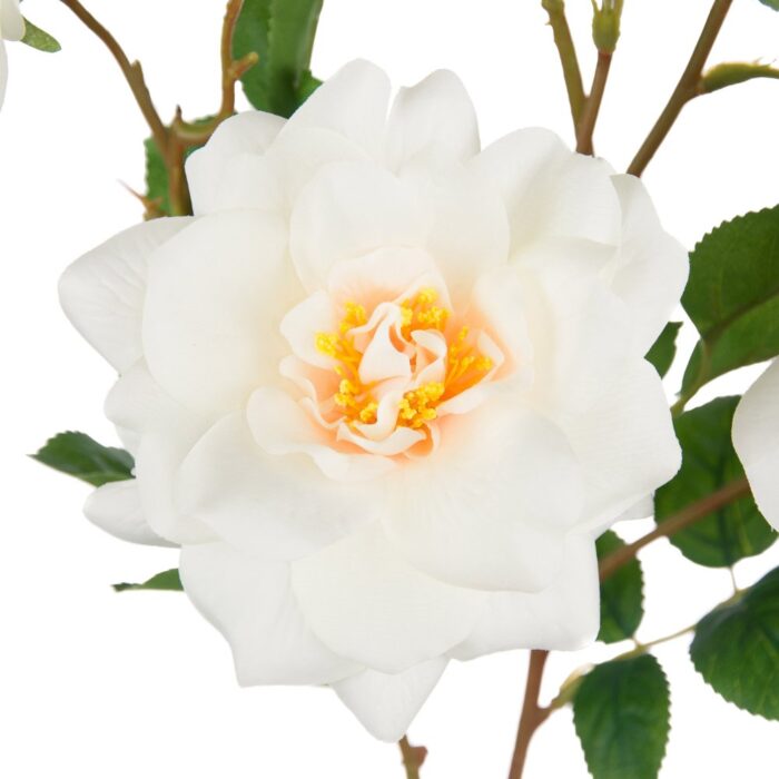 SANDRINGHAM ROSE 85cm - Image 2