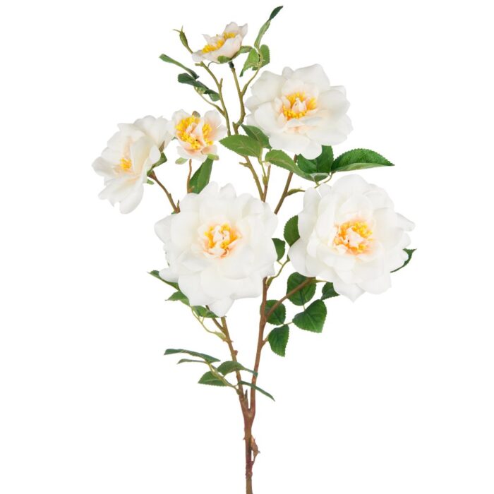 SANDRINGHAM ROSE 85cm