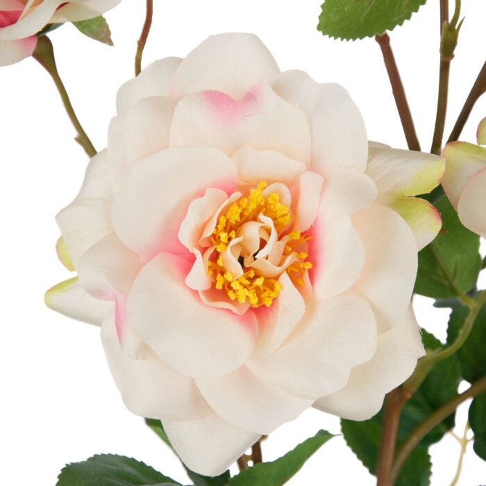 SANDRINGHAM ROSE 85cm - Image 2