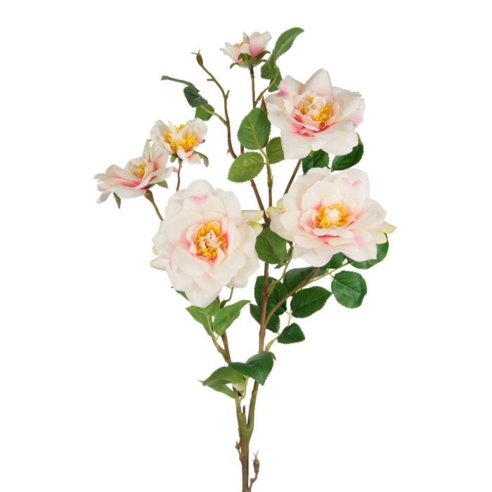 SANDRINGHAM ROSE 85cm