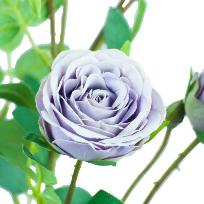 SISSINGHURST ROSE 67cm - Image 2