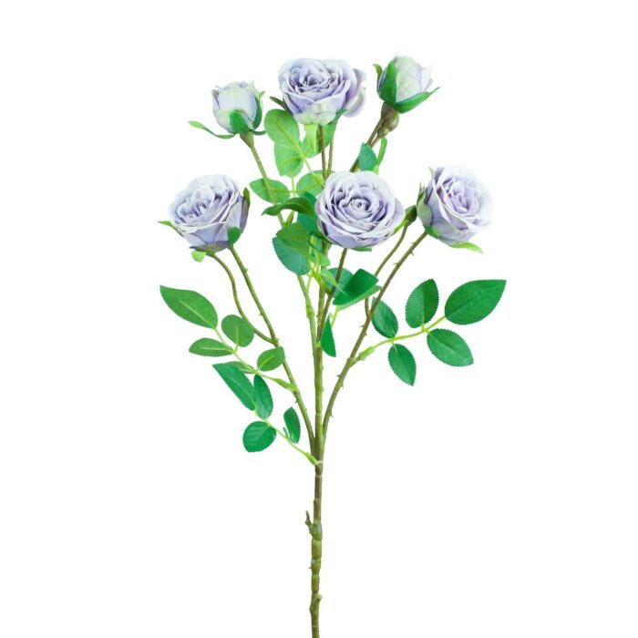 SISSINGHURST ROSE 67cm