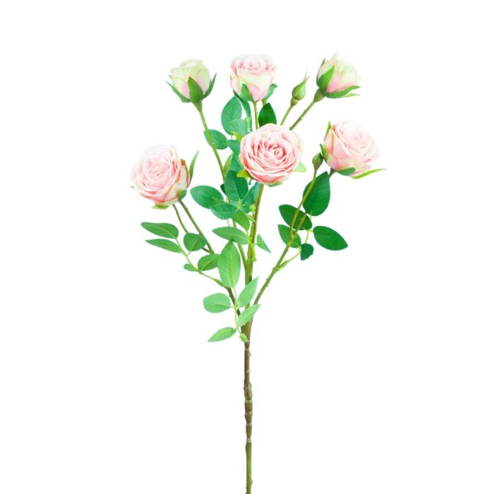 SISSINGHURST ROSE 67cm