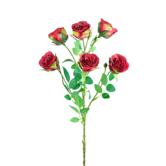 SISSINGHURST ROSE 67cm