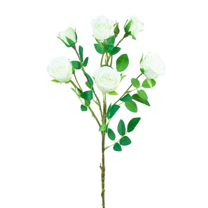 SISSINGHURST ROSE 67cm