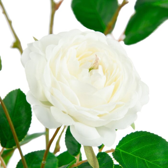 ROSE BRANCH 114cm - Image 2