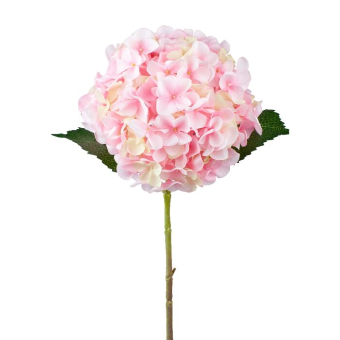 HOUSTON HYDRANGEA 65cm