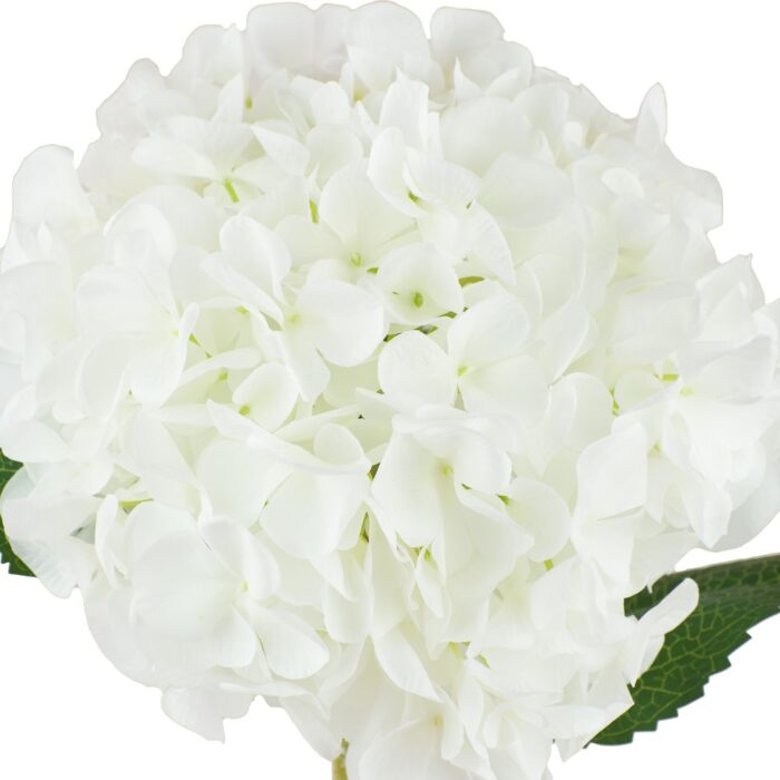 HOUSTON HYDRANGEA 65cm - Image 2
