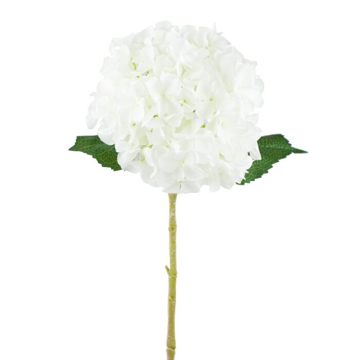 HOUSTON HYDRANGEA 65cm