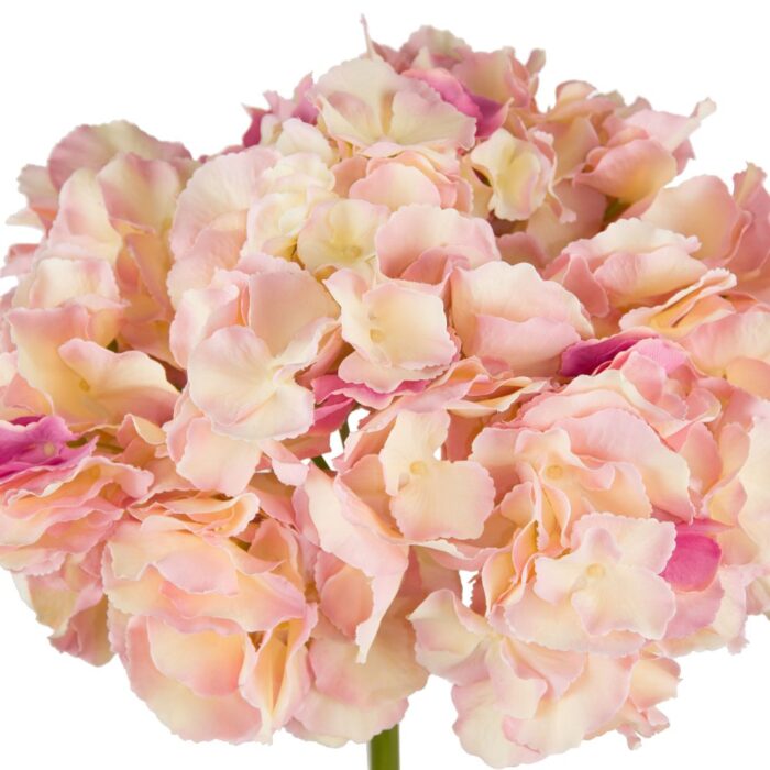 MANHATTAN HYDRANGEA 52cm - Image 2