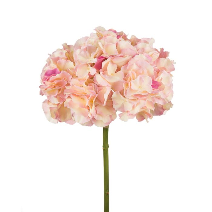 MANHATTAN HYDRANGEA 52cm