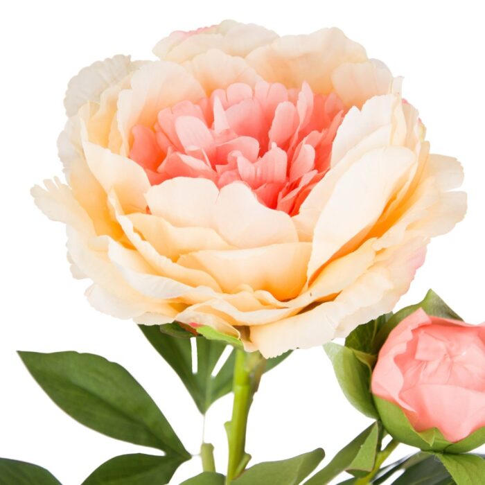 TREE PEONY 90cm - Image 2