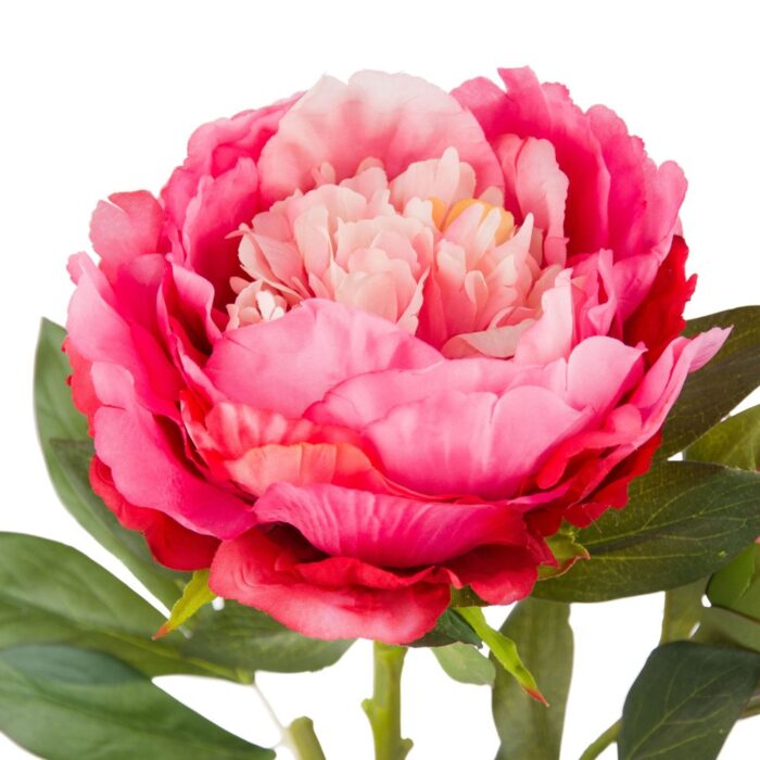 TREE PEONY 90cm - Image 2