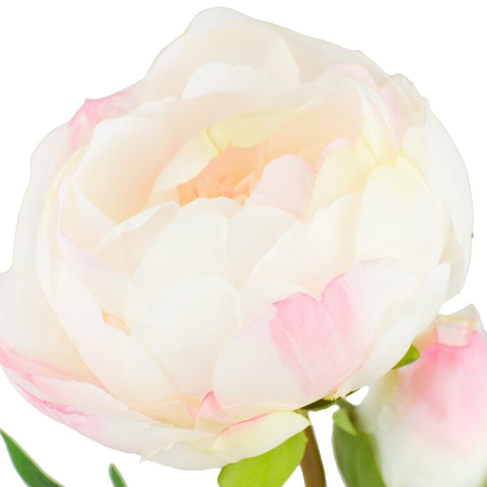 GEISHA PEONY 60cm - Image 2