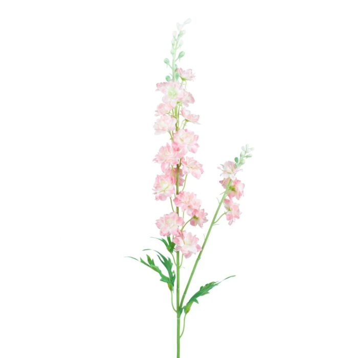 COUNTRY GARDEN DELPHINIUM 85cm