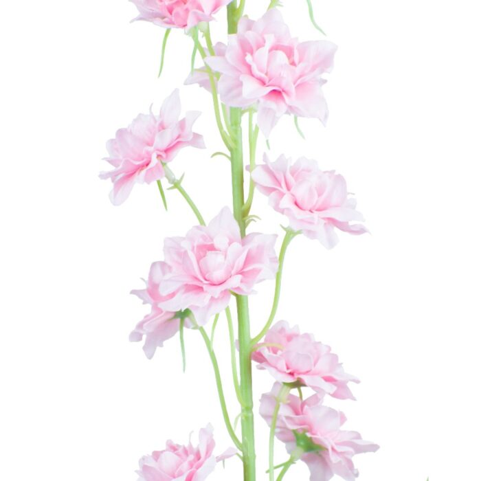 COUNTRY GARDEN DELPHINIUM 85cm - Image 2