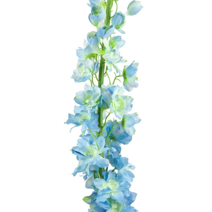 DELPHINIUM 113cm - Image 2
