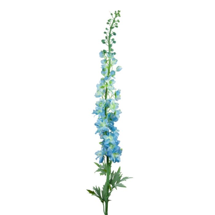 DELPHINIUM 113cm