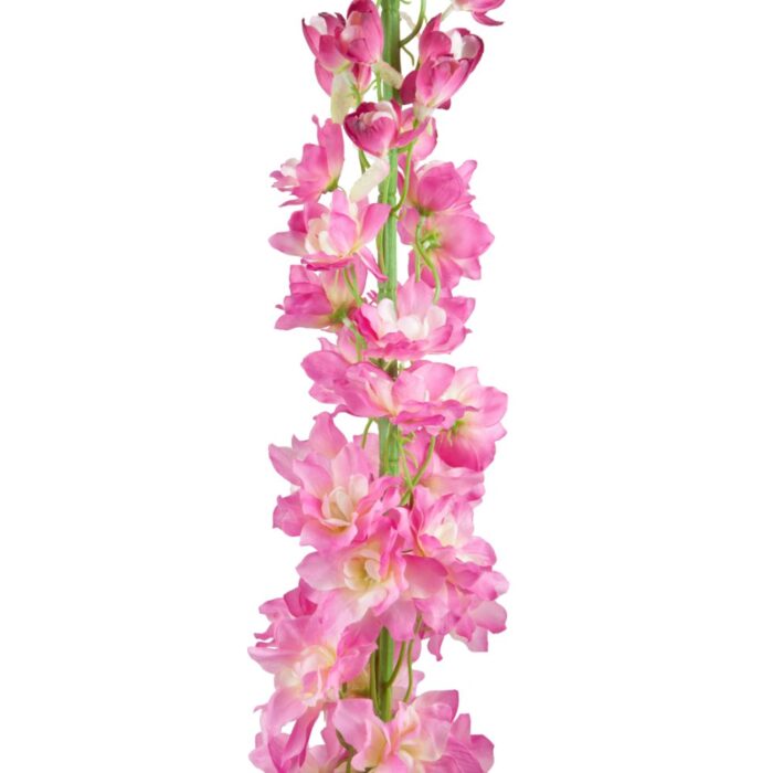 DELPHINIUM 113cm - Image 2