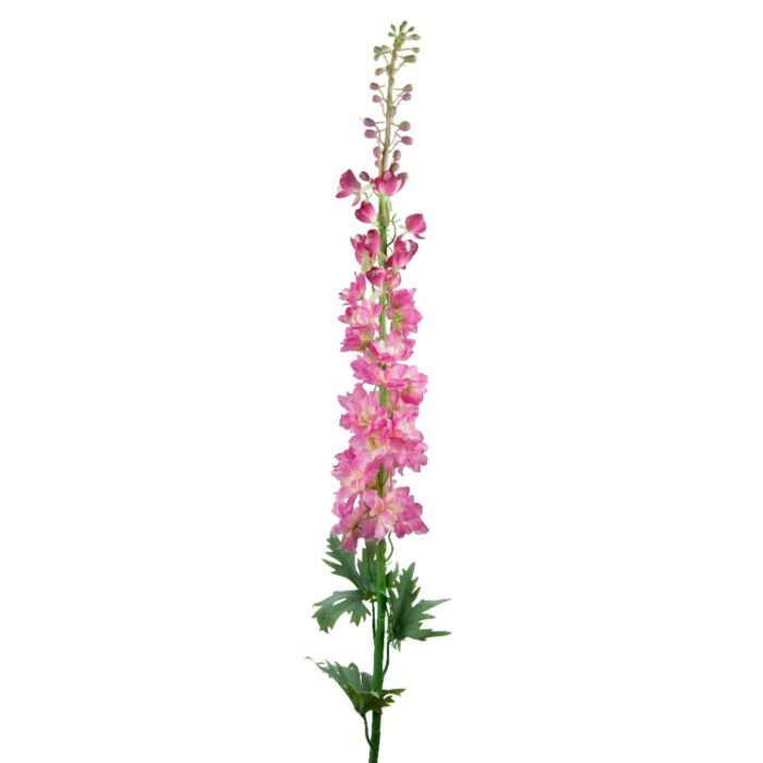 DELPHINIUM 113cm