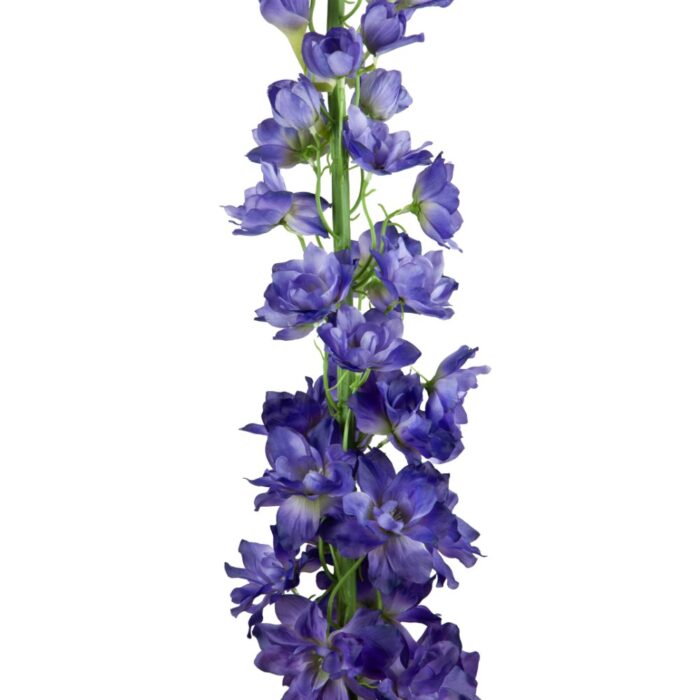 DELPHINIUM 113cm - Image 2