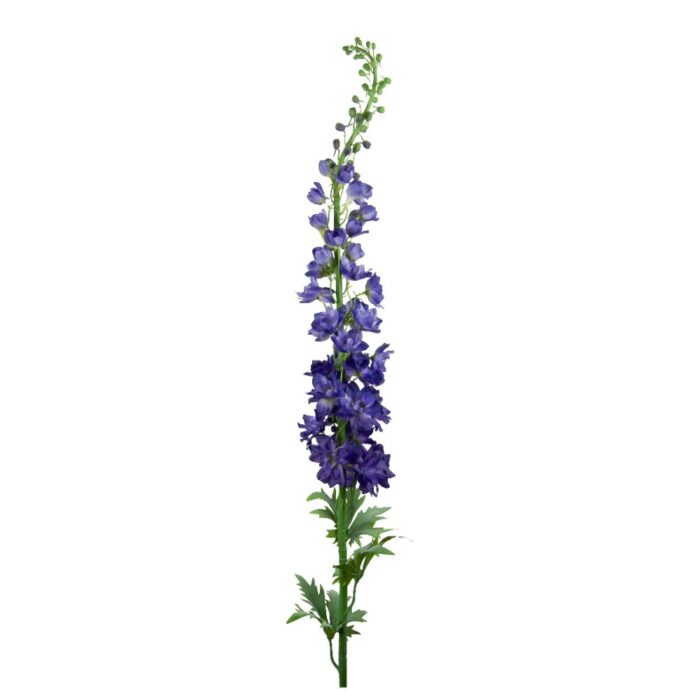 DELPHINIUM 113cm