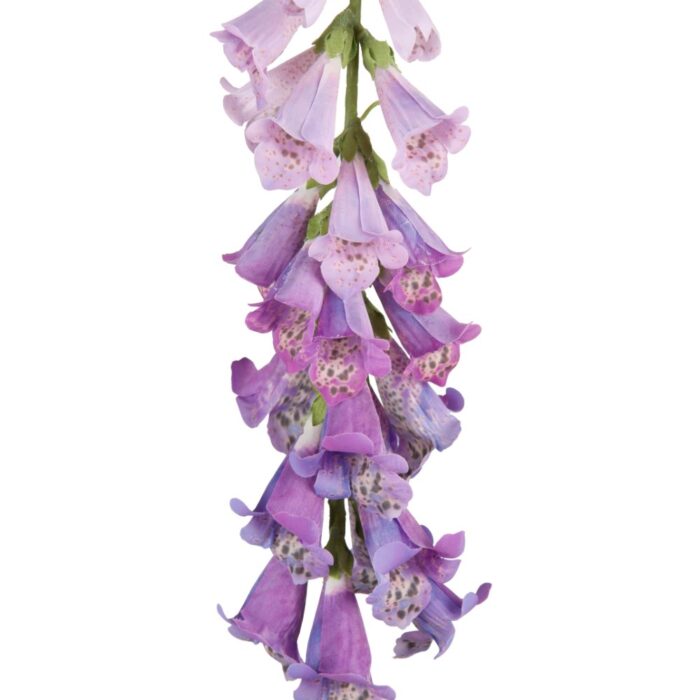 WILD FOXGLOVE 89cm - Image 2