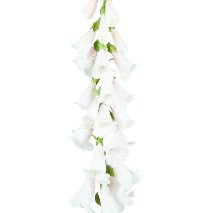 WILD FOXGLOVE 89cm - Image 2