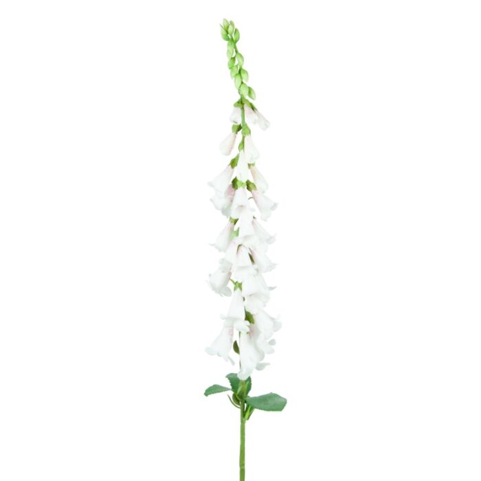 WILD FOXGLOVE 89cm