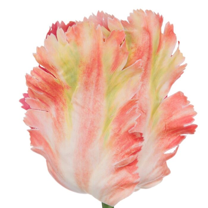 PARROT TULIP 64cm - Image 2