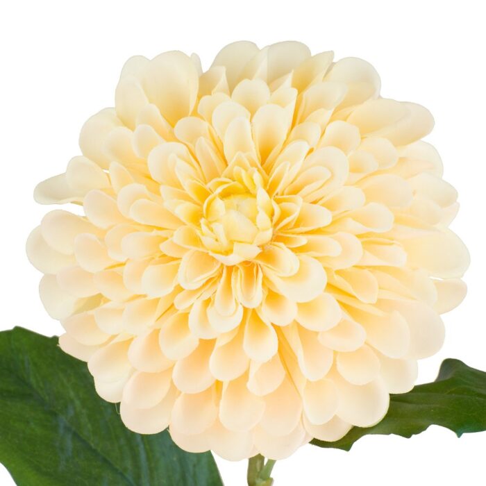 POMPOM DAHLIA 76cm - Image 2