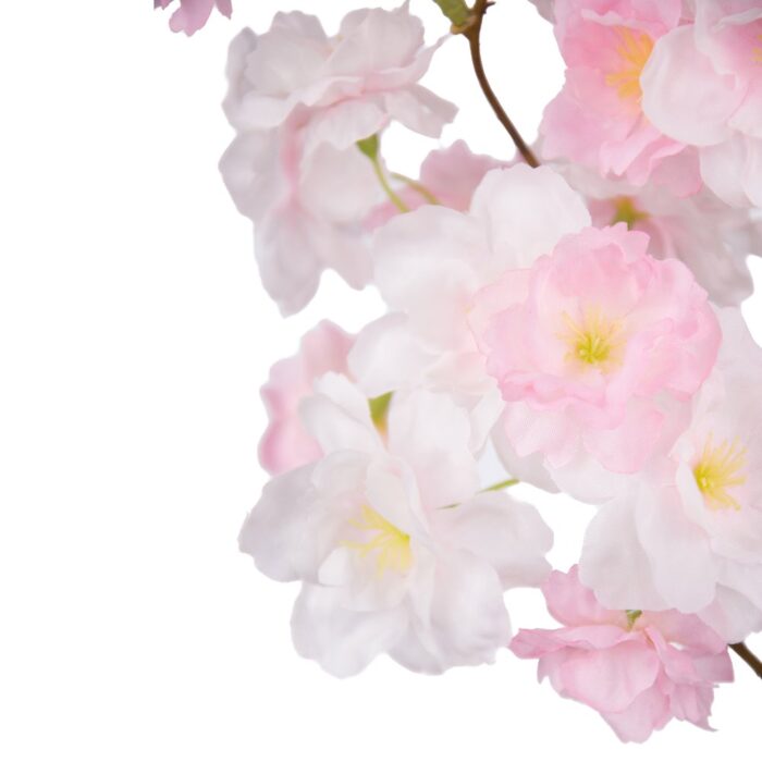 BLOSSOM 99cm - Image 2