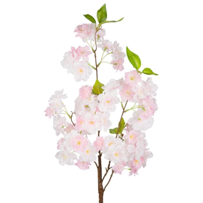 BLOSSOM 99cm