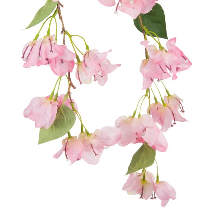 BOUGAINVILLEA CASCADE 117cm - Image 2