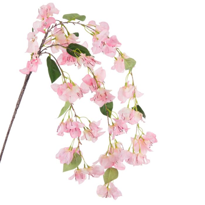 BOUGAINVILLEA CASCADE 117cm
