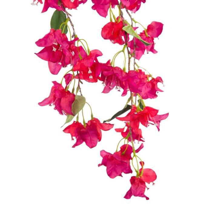 BOUGAINVILLEA CASCADE 117cm - Image 2