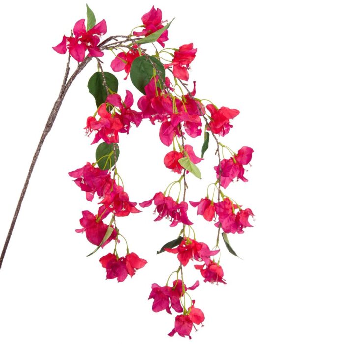BOUGAINVILLEA CASCADE 117cm