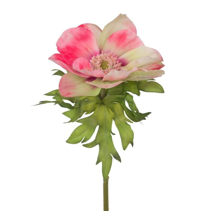 CANDY ANEMONE 44cm