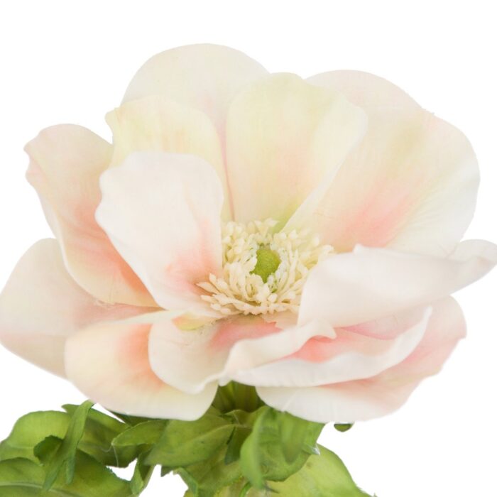 CANDY ANEMONE 44cm - Image 2