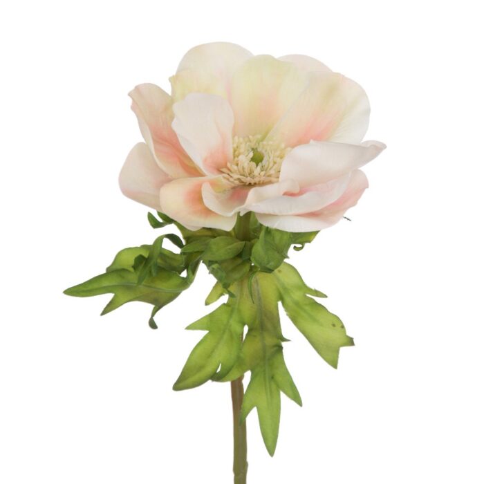CANDY ANEMONE 44cm