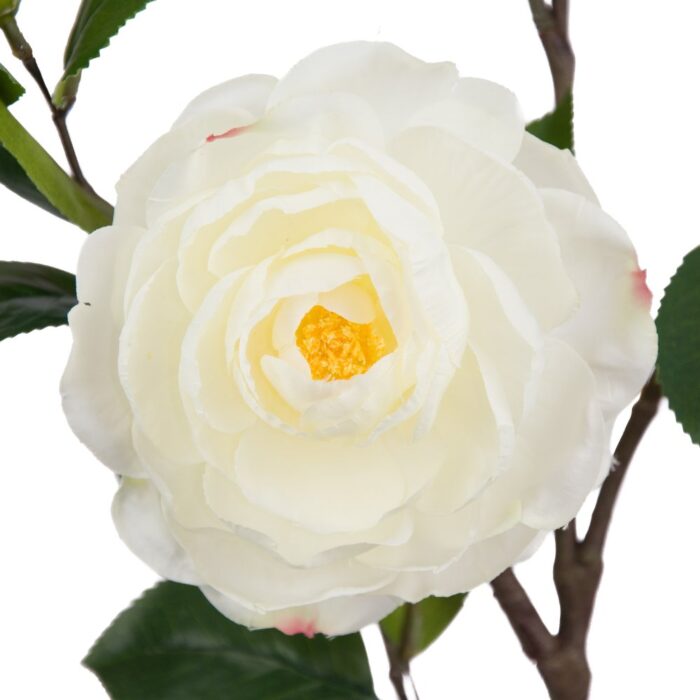 CATHERINE CAMELLIA 94cm - Image 2