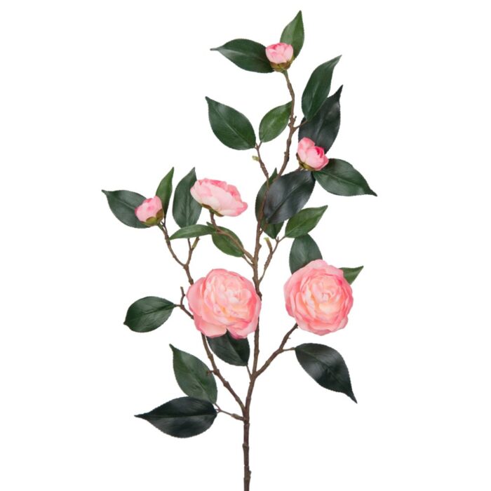 CHARLOTTE CAMELLIA 76cm
