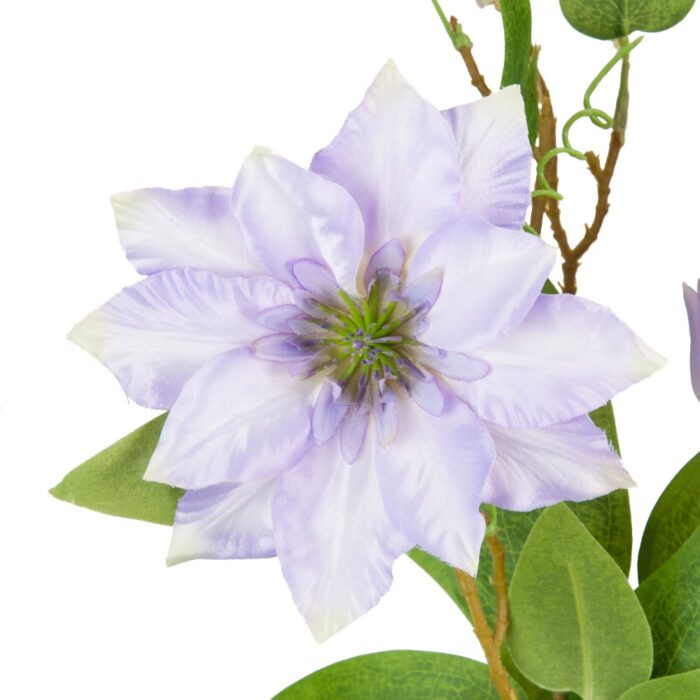CLEMATIS 89cm - Image 2