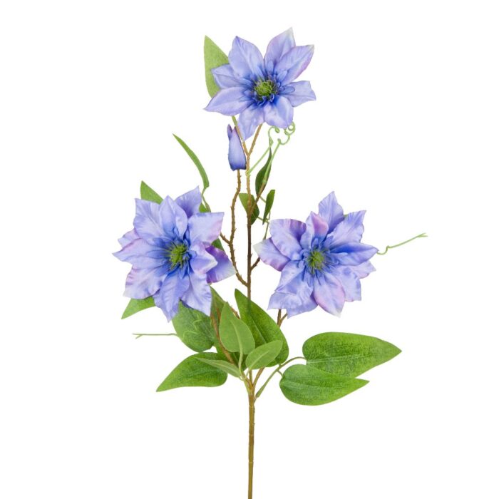 CLEMATIS 89cm - Image 3