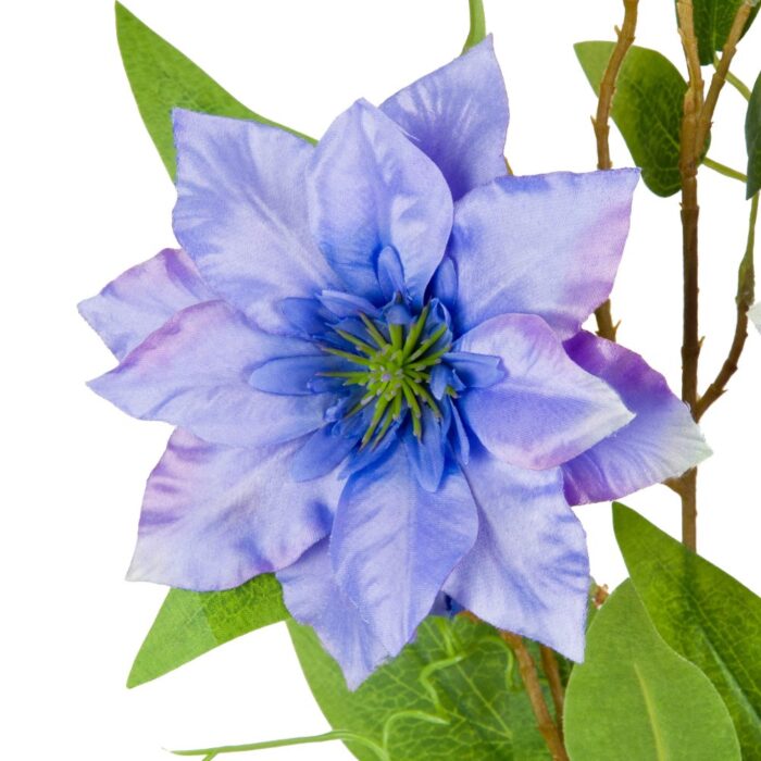 CLEMATIS 89cm - Image 4